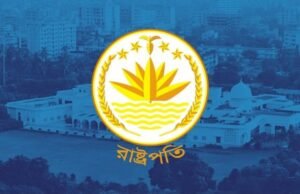 এবার আর ‘ভুল’ নয়, যেসব বিষয়ে প্রাধান্য দিয়ে রাষ্ট্রপতি বানাবে বিএনপি