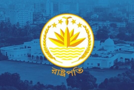 এবার আর ‘ভুল’ নয়, যেসব বিষয়ে প্রাধান্য দিয়ে রাষ্ট্রপতি বানাবে বিএনপি