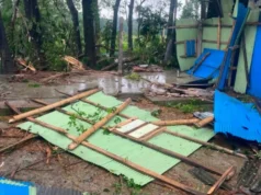 ১ মিনিটের টর্নেডোতে লন্ডভন্ড গ্রাম