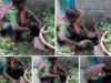 ড্রেইনের পানিতে ধোয়া হচ্ছে কলমি শাক