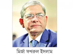 রাষ্ট্রপতি হিসেবে রাজনীতিকই চান বিএনপি নেতারা