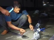 মধ্যরাতে বো/মাতঙ্ক, ব্যাগ খুলে যা পাওয়া গেল