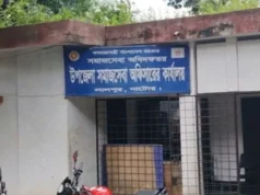 বয়সসীমা অতিক্রম, ভাইভাও দেননি—তবু চূড়ান্ত তালিকায় বিএনপি নেতার স্ত্রী